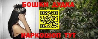 индика Бузулук