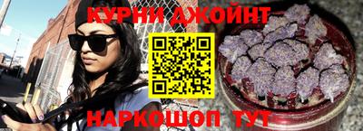 индика Будённовск