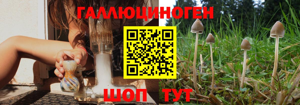 Галлюциногенные грибы мухоморы  Вход с VPN  Саранск 